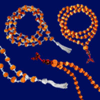 13 Mukhi Rudraksha Mala